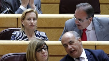 Marta Dom&iacute;nguez, en el Senado