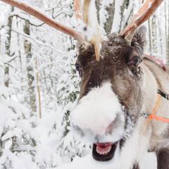 Cuenta cómo su novio futbolista la ha dejado sola en su viaje romántico a Laponia y la historia engancha a muchos