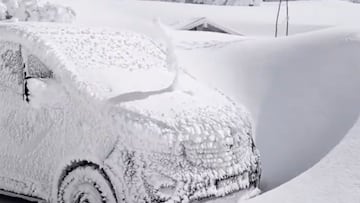 Nieve en Sierra Nevada, febrero del 2026
