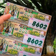 Resultados Baloto, loterías Boyacá, Cauca y más hoy: números que cayeron y ganadores | 27 de noviembre