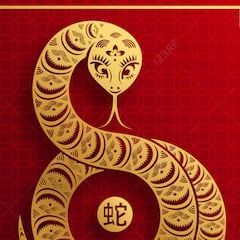 Descubre las predicciones del Zodiaco que dicta el Horóscopo Chino por el Año Nuevo de la Serpiente