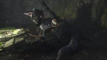 Captura de pantalla - The Last Guardian (PS4)