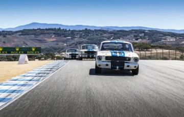 Ford Mustang GT 350s.