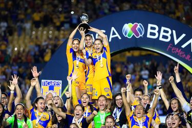 En la Liga Mx Femenil se han disputado 13 títulos a lo largo de la historia del torneo. Tigres es el que más posee con siete (Clausura 2018, Clausura 2019, Guardianes 2020, Guardianes 2021, Apertura 2022, Apertura 2023 y Clausura 2024).