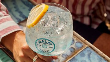 ¿Frutal, cítrico o clásico? La guía para encontrar tu mezcla perfecta este Día del Gin