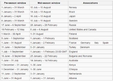 Football's transfer window:
what, when, how, why and who?