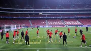 El estadio Da Luz gusta en el Atl&eacute;tico. 