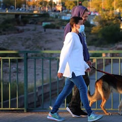 ¿Se puede sacar al perro a pasear por la noche en toque de queda?