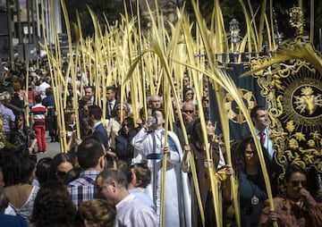 Procesi&oacute;n del Domingo de Ramos en Elche 