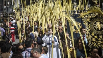 Procesión del Domingo de Ramos en Elche