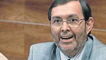 <b>PROBLEMAS. </b>Vicente Grande debe meditar su estrategia para planificar la próxima temporada.