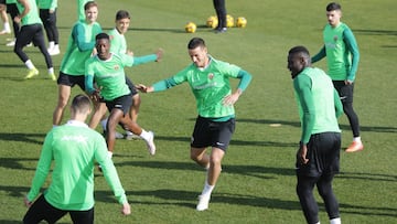 Barzic, una pieza codiciada en el mercado