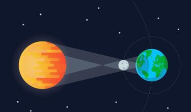 Eclipse Solar Total 2024: ¿cuál es la reacción y cómo afecta al comportamiento de aves, delfines o chimpancés?