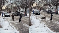 El gracioso momento en el que un agente del ICE resbala en el hielo