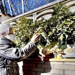 Los trabajadores que no se podrán jubilar hasta los 66 años