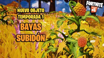 ¿Dónde encontrar Bayas Subidón en Fortnite? Todas las ubicaciones