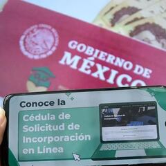 Cédula de Solicitud de las Becas Benito Juárez: ¿cómo descargarla y llenarla en línea para solicitar registro?