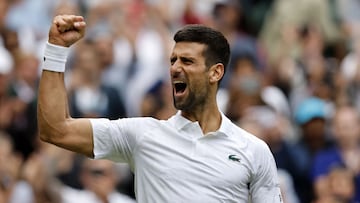 The Serb, looking for his eighth title, reached the last round at the All England Club after beating Jannik Sinner in straight sets.