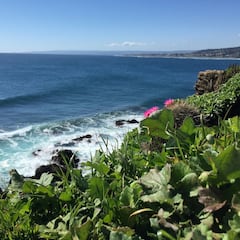 Estas son las tres imperdibles playas chilenas que entraron al ranking de las 100 mejores del mundo