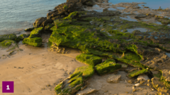 Dónde comer el mejor pescaíto frito de Cádiz y no perderse nada de esta nueva cita de su carnaval