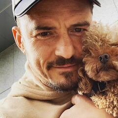 Orlando Bloom pierde a su perro y ofrece una recompensa: "Mi corazón está roto"