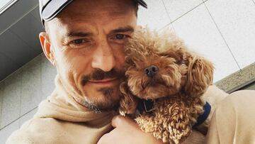 Orlando Bloom pierde a su perro y ofrece una recompensa: "Mi corazón está roto"