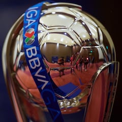 El palmarés de América y TIgres en Liga MX: ¿Cuántas veces han ganado el torneo?
