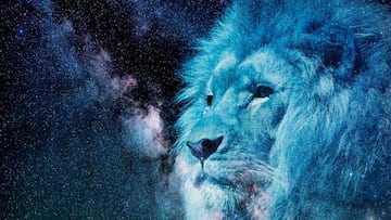 Portal del León 8/8: qué es, origen y rituales para atraer la buena suerte este 2024