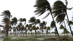 El huracán Beryl, ahora tormenta tropical, llegará en los próximos días al sur de Texas. Te compartimos las posibles zonas afectadas.