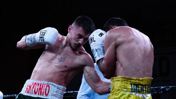 Antonio Collado durante el combate por el AMB Iberoamérica.