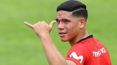 Celi, una posibilidad real