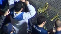 Policía argentina: "El gas fue lanzado desde el campo"