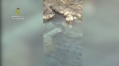 Se lanza al mar para que no lo multen y se va a una cueva