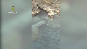 Se lanza al mar para que no lo multen y se va a una cueva