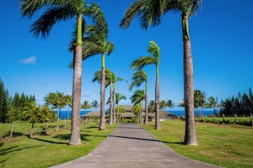 Así es la mansión de Robbie Naish en Hawái.