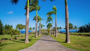 Así comienza a sonar la alerta de tsunami en Hawái por el terremoto de Rusia