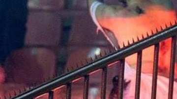 <strong>EN PELIGRO.</strong> La intervención de la policía antidisturbios no se hizo esperar tras la agresión al agente y tras una pelea entre las fuerzas de orden y los ultras tres de ellos resultaron arrestados. Fuentes médicas afirman que la vida del policía herido no corre peligro.