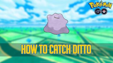 How to catch Pokémon #132 Ditto in Pokémon GO