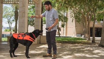 Este chaleco ayudará a entrenar perros para labores de rescate
