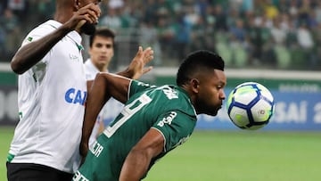 El delantero colombiano Miguel &Aacute;ngel Borja se coron&oacute; campe&oacute;n del Brasileirao 2018 y fue goleador de la Copa Libertadores con la camiseta de Palmeiras.