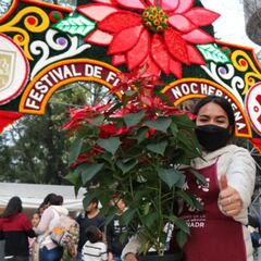 ¿Dónde comprar flores de Nochebuena en CDMX?