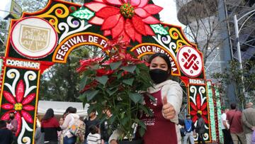 ¿Dónde comprar flores de Nochebuena en CDMX?