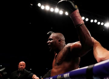 El espectacular KO de Whyte sobre Browne en el Silver WBC