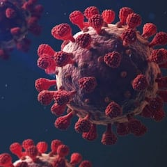 Los altos niveles de vitamina D reducen la mortalidad por la COVID-19