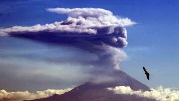 ¿Qué estados pueden registrar caída de ceniza tras emisiones del Popocatépetl?