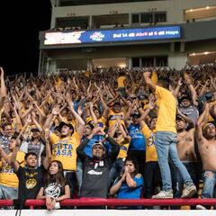 Barra de Tigres hará minuto de silencio por Rayados ‘muerto’