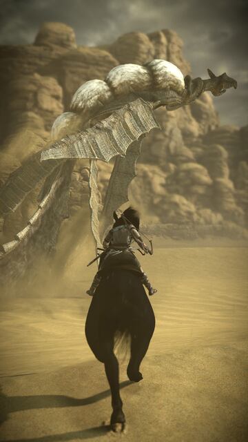 Captura de pantalla - Shadow of the Colossus (PS4)