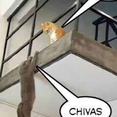 Los mejores memes de la eliminación de Chivas
