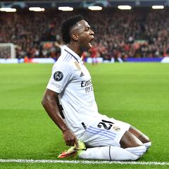 Radiografía de una exhibición