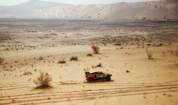 Sebastien Loeb y Daniel Elena.